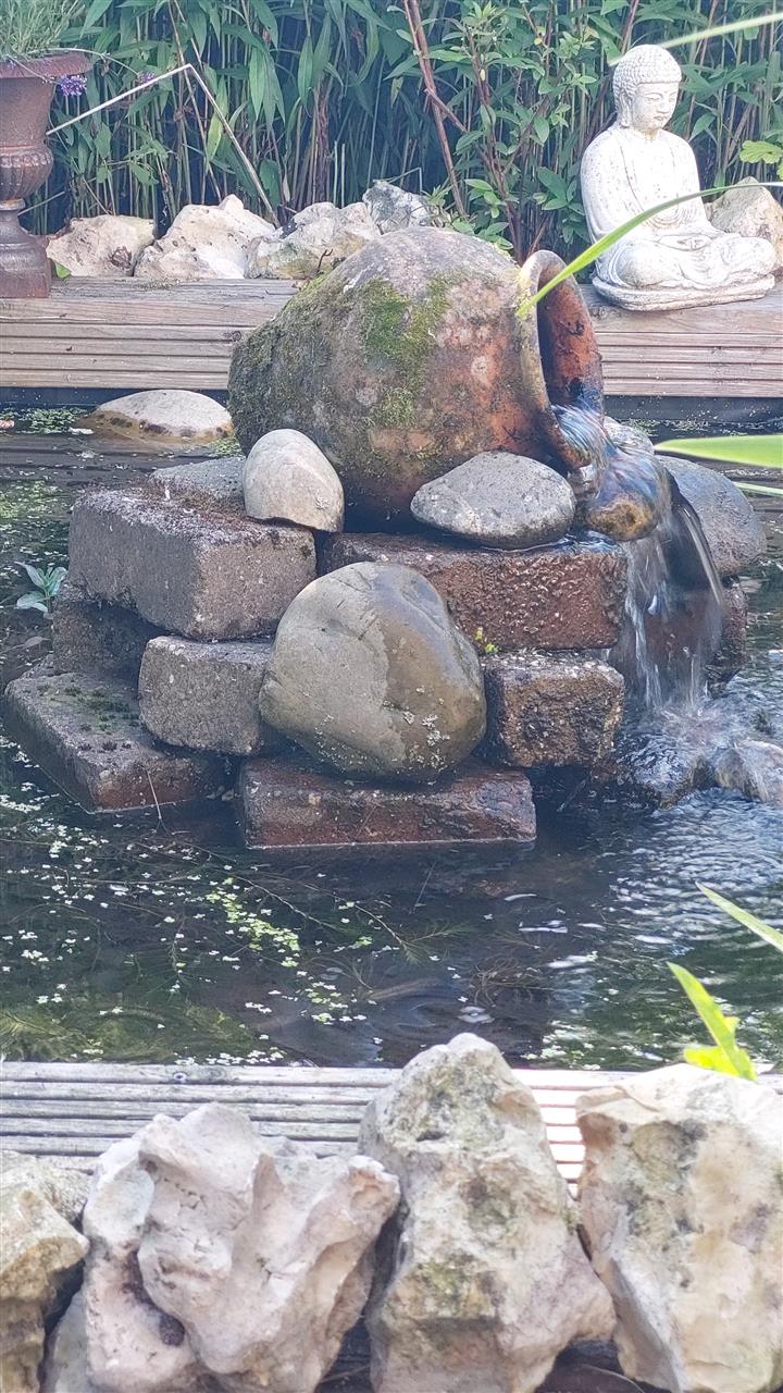 20260615_184907.jpg