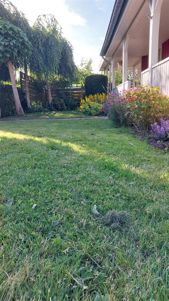 20260615_185259.jpg