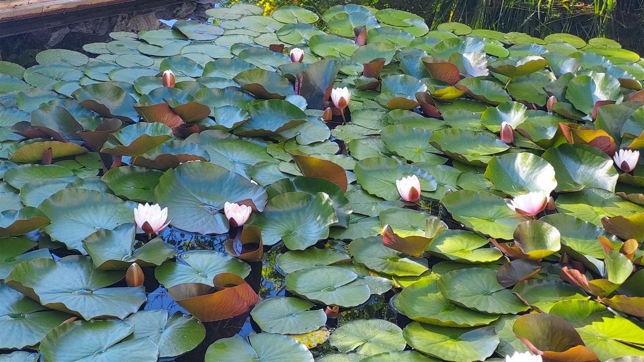 20260615_185414.jpg